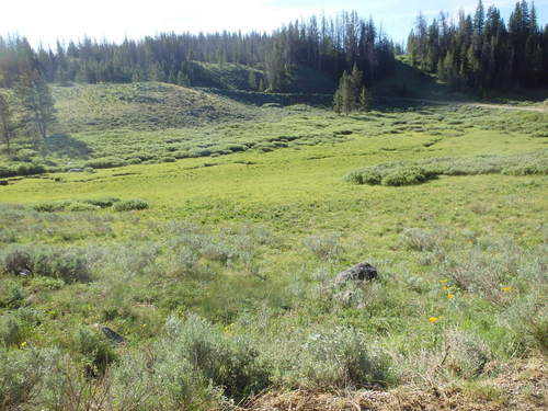 GDMBR: We went through a section of small ponds, standing water, and wetlands.